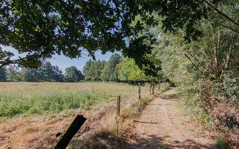 1_Waterloostraat_17_Kapelle_op_den_Bos_79.jpg