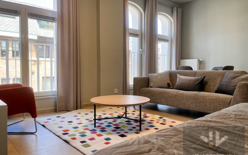 Gemeubeld 1 slaapkamer appartement in hartje Hasselt! - Featured Image