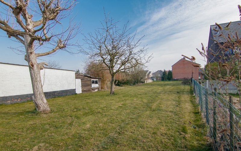 1_Boomgaardstraat_19b_Diepenbeek_12.jpg