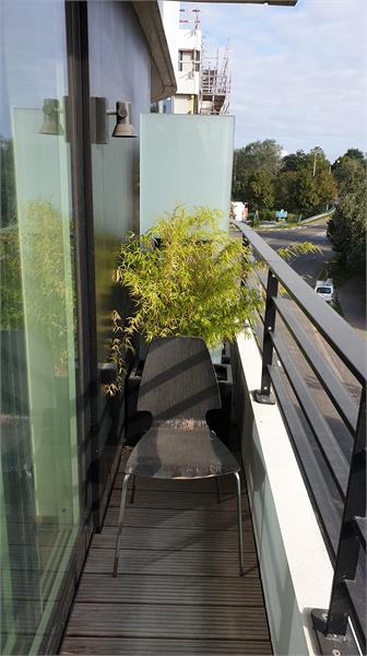 20190903_093940min.jpg