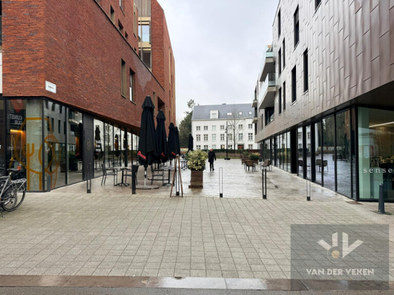 WhatsApp Image 2026-02-12 at 14.10.49 (19).jpg